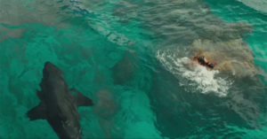 the-shallows